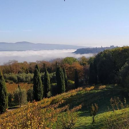 Villa La Chiusetta à Orvieto Extérieur photo