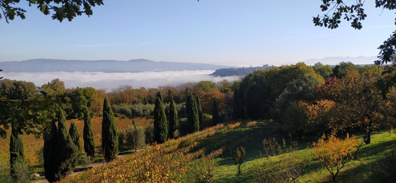 Villa La Chiusetta à Orvieto Extérieur photo