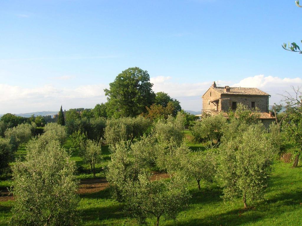 Villa La Chiusetta à Orvieto Extérieur photo